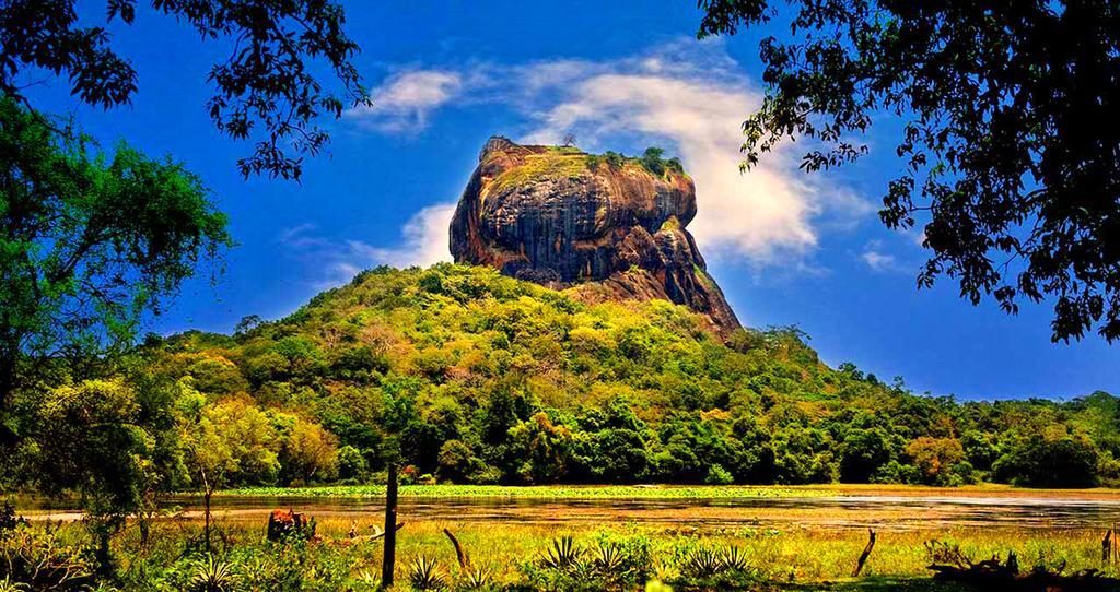 Fresco Water Villa Sigiriya Eksteriør billede